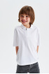 Футболка-поло из хлопка Supima cotton (SSLSB-428-14201-200) Silver spoon