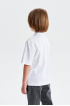 Футболка-поло из хлопка Supima cotton (SSLSB-428-14201-200) Silver spoon