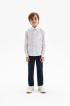 Классические брюки Comfort (SSFSB-229-16008-326) Silver spoon