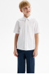 Сорочка slim из хлопка supima cotton (SSFSB-548-14535-200) Silver spoon