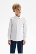 Сорочка slim из хлопка supima cotton (SSFSB-548-14434-200) Silver spoon